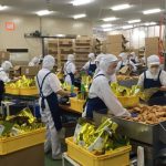 02-cong-nhan-dong-goi-banh-keo